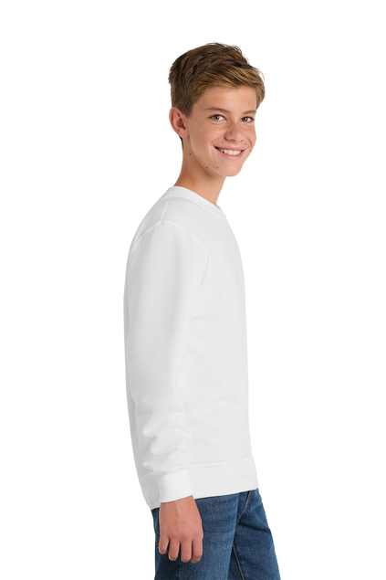 Youth Crewneck Sweatshirt - Image 3